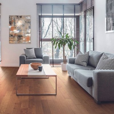 corner blinds in a cozy living room with hardwood floors